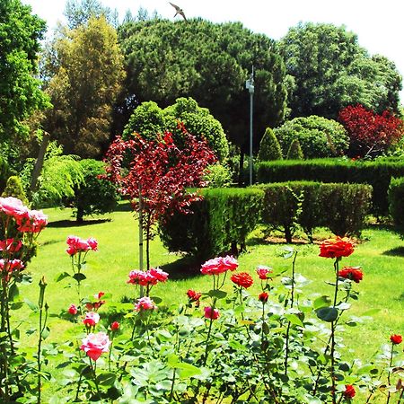 Villa Kiza Apartments Agía Triás Dış mekan fotoğraf