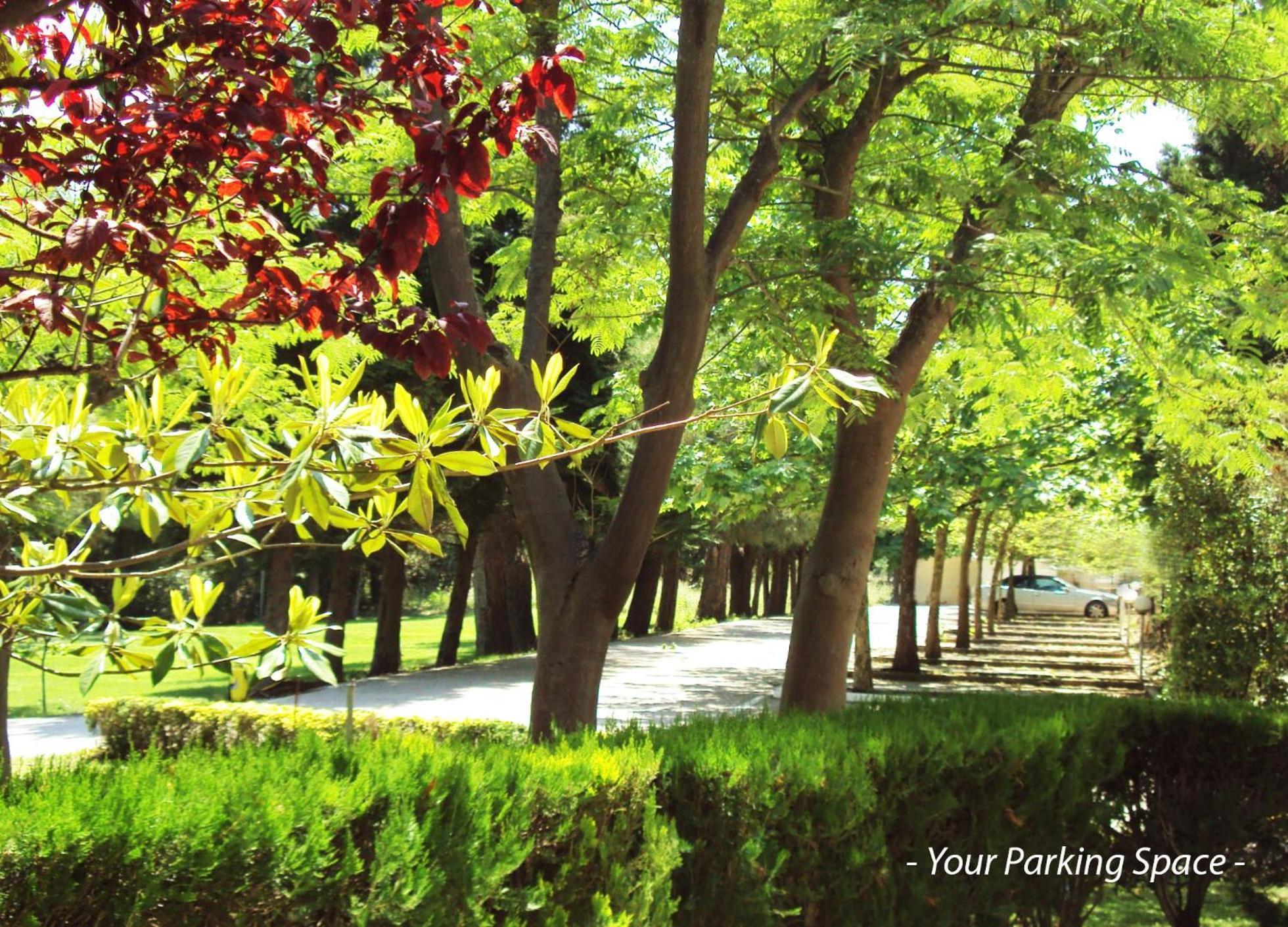 Villa Kiza Apartments Agía Triás Dış mekan fotoğraf
